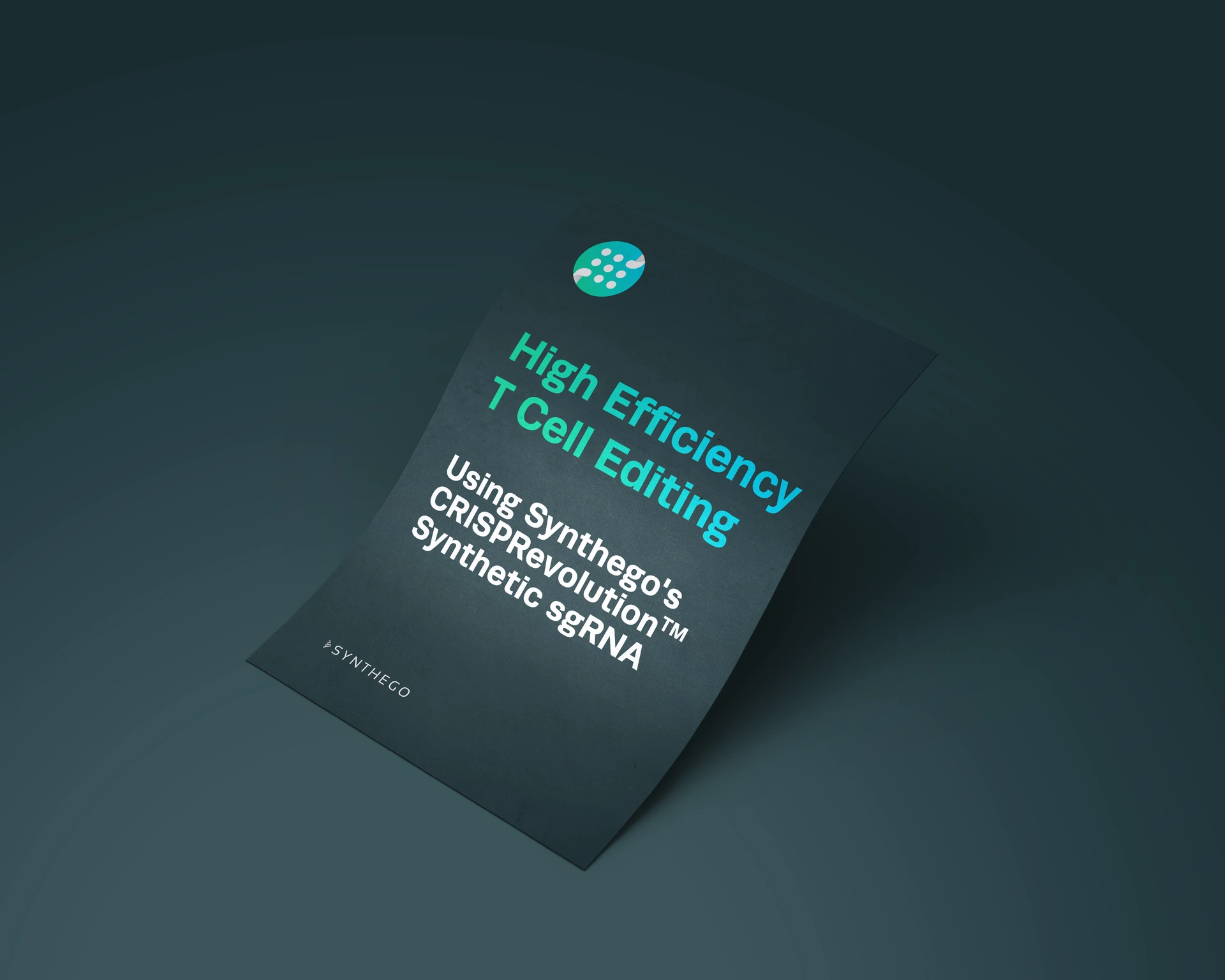 Research sgRNA - High-Efficiency T Cell Editing Flyer