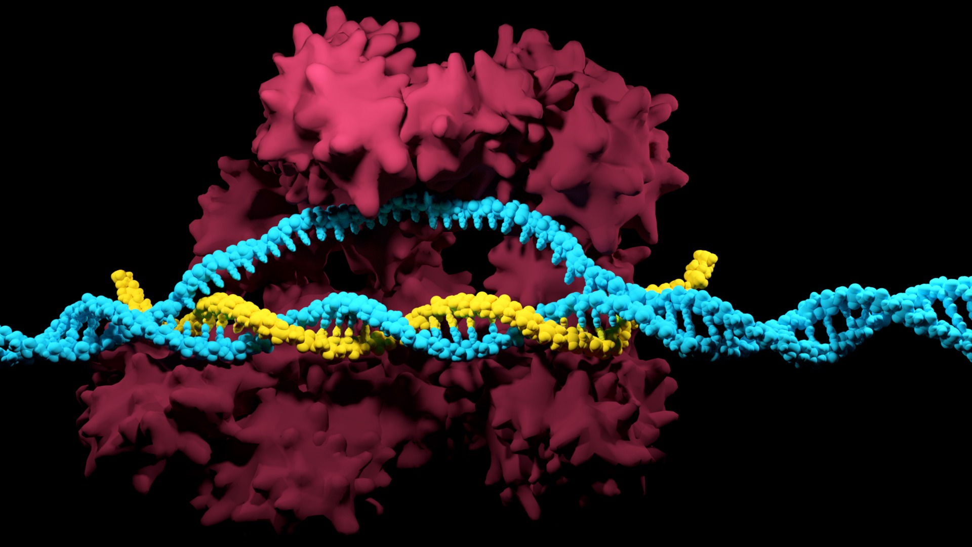 Importance of the PAM Sequence in CRISPR Experiments