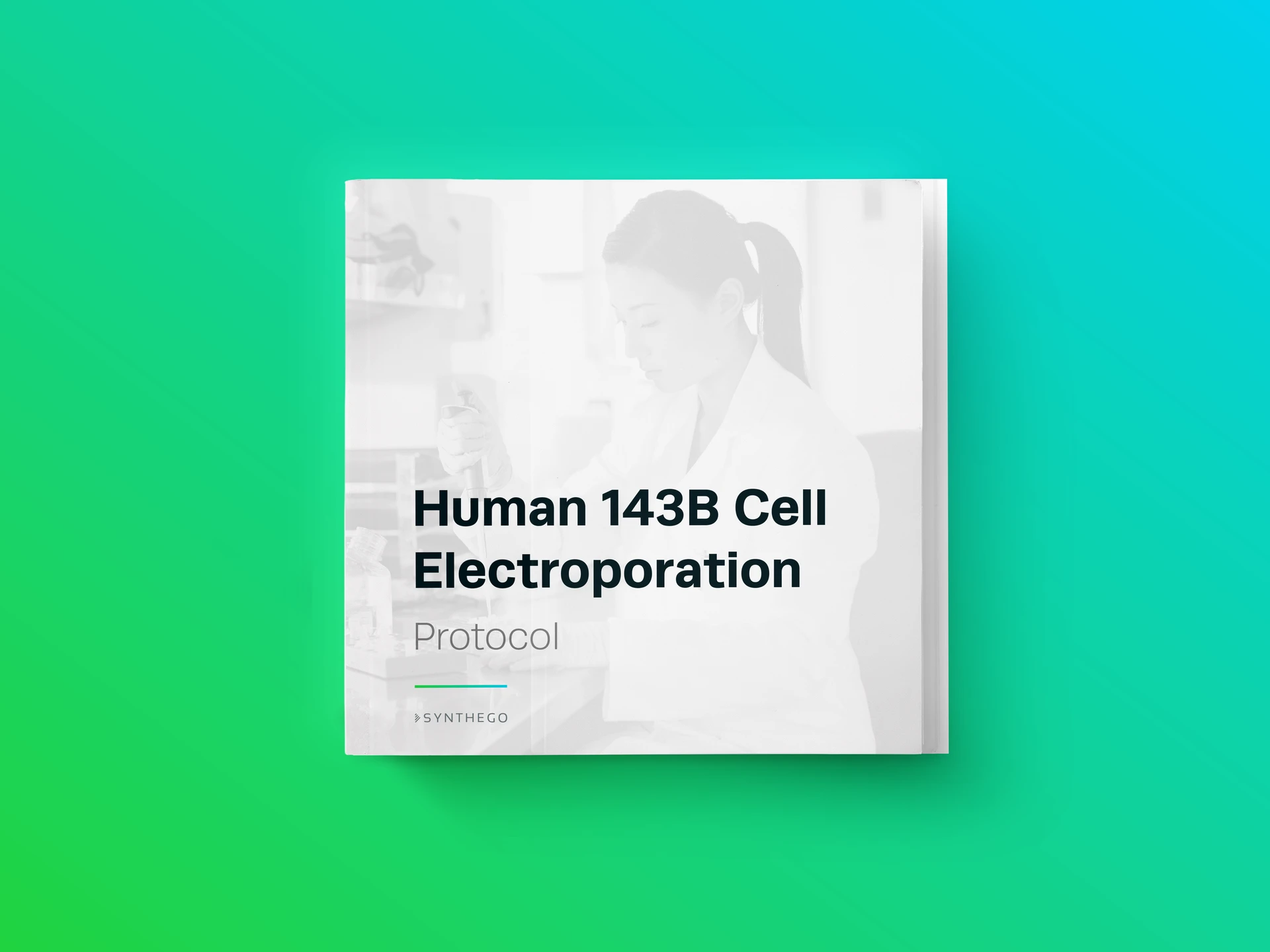 Human 143B Cell Electroporation