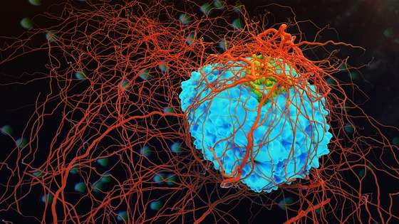 CRISPR CAR-T cells: Edited T Cells Are Revolutionizing Cancer Treatment