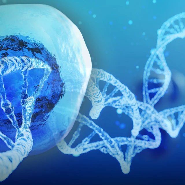 Overcoming Barriers of CRISPR Gene Editing in iPS Cells