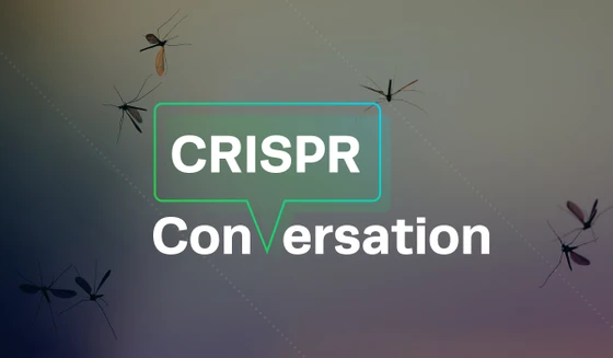 Gene Drive Expert Anna Buchman Discusses Controlling Insects with CRISPR