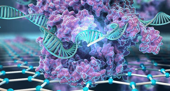 SNP-Chip: New CRISPR-Chip Iteration Enables Rapid Detection of Single Nucleotide Mutations