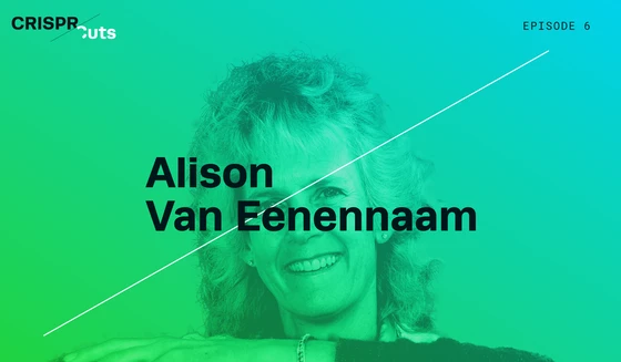 Genetically Engineered Cows: How CRISPR Could Improve Cattle Farming (with Podcast)