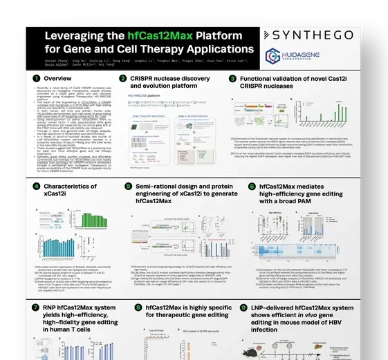 Leveraging the hfCas12Max Platform for Gene and Cell Therapy Applications