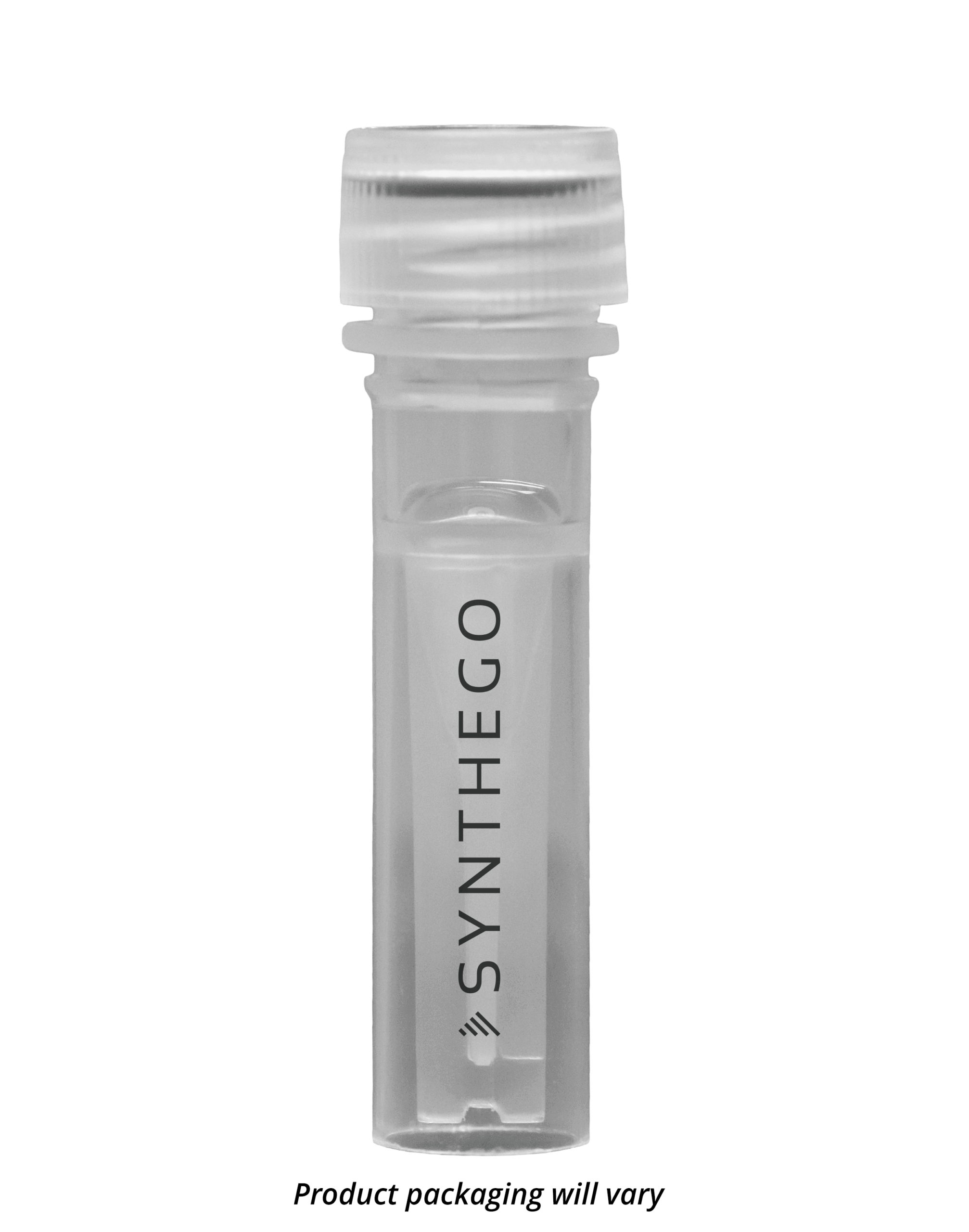 Recombinase Polymerase Amplification (RPA) Real-Time Kit