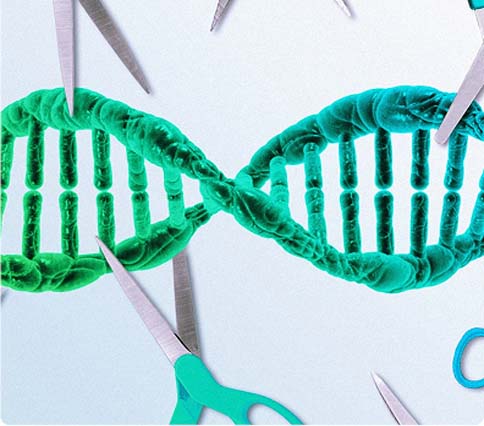 It's Time to Upgrade to a Superior Nuclease
