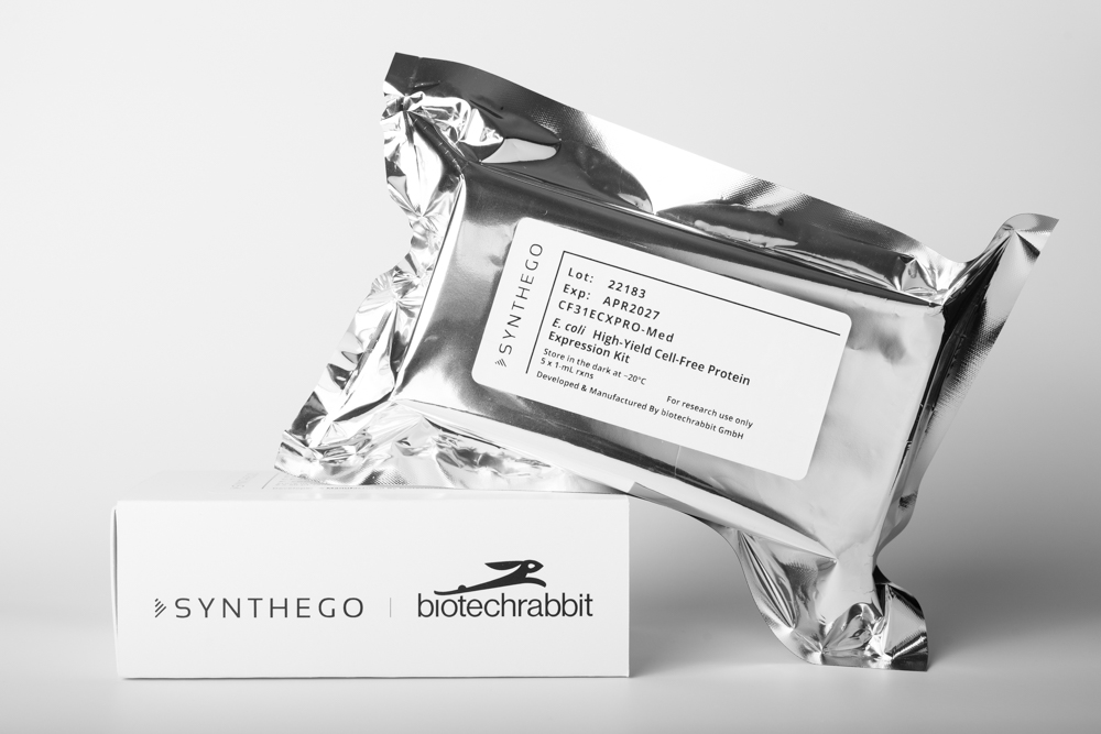 E. coli High-Yield Cell-Free Protein Expression Kit