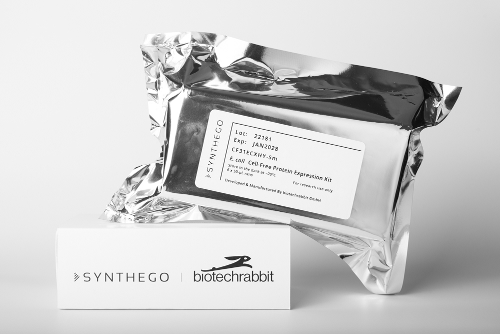 E. coli Cell-Free Protein Expression Kit