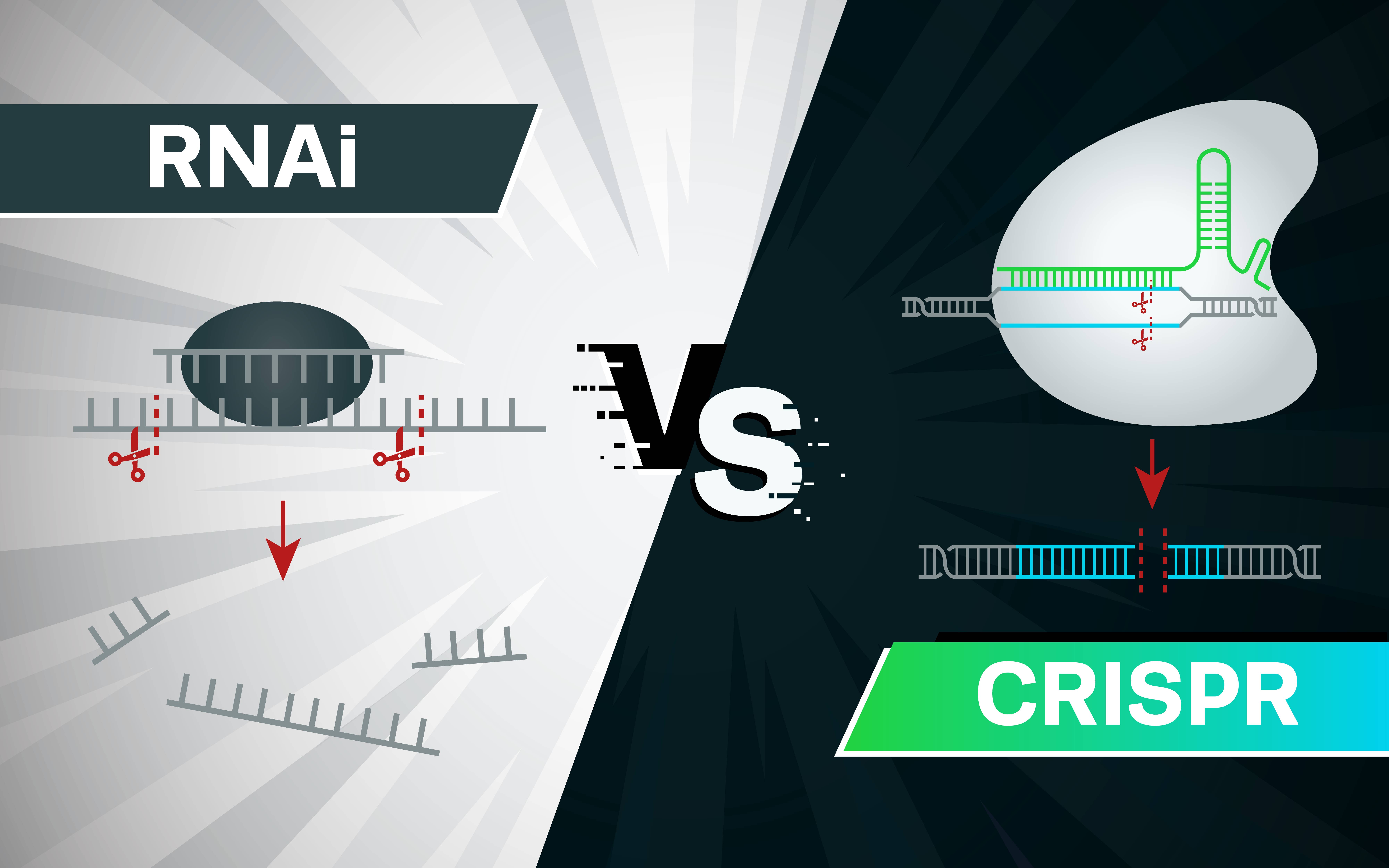 RNAi vs CRISPR